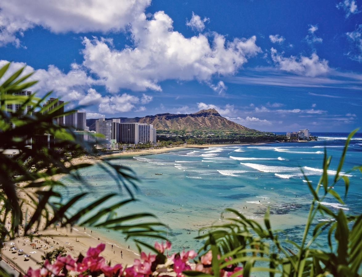 Beautiful 1Br, Steps To Waikiki Beach And Parking Honolulu Ngoại thất bức ảnh